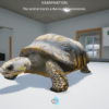 My Life Pet Vet Screenshot 2